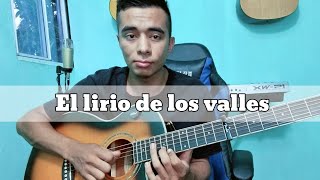 El lirio de los valles  Requinto [upl. by Feucht]