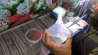 How to make an aquarium filter at home in 15 minutes try it yourself [upl. by Arym172]