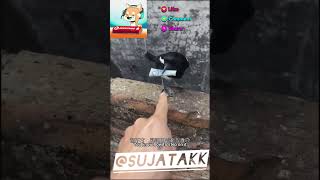 Bird FLIES Away with 100 RUPEE Notefunnycomedy viralvideo viralshorts ytshorts yt sujatakk [upl. by Bidle184]