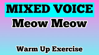 Mixed Voice on a MEOW  Vocal Warm Up Exercise [upl. by Zipah]