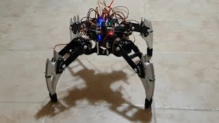 Raspberry Pi Quadruped Inverse Kinematics [upl. by Polly308]