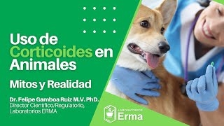 Webinar ERMA  Uso de Corticoides en Animales Mitos y Realidad [upl. by Kruter]