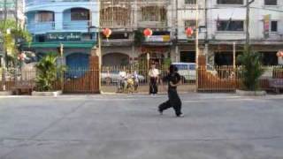 Shaolin Liu Yeh Quan Willow Leaf Fist  Chin Woo Thailand [upl. by Neumeyer941]