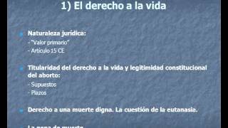 umh1190 201213 Lec013 Los Derechos de Libertad o de Autonomía I [upl. by Fredette]