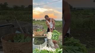 Sheti update  farmer agriculture nature pikvima karjmafiyojna pikvima2022 [upl. by Joline]