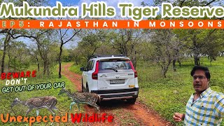 Rajasthan in Monsoons EP5 Mukundra Hills Tiger Reserve Safari mein 4x4 Lagana Pada travelvlog 4x4 [upl. by Atiuqrehs]