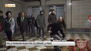 TG BASSANO 13012018  MILLE PAPAVERI ROSSI PER CELEBRARE LA PACE [upl. by Owiat]