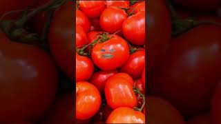 ALL EYES ON TOMATO 😂😂 SA ANSARI Thethat comday shortvideo [upl. by Salokcin]