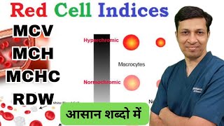 Red cell indices made easy in hindi  MCVMCHMCHCRDW [upl. by Nam]