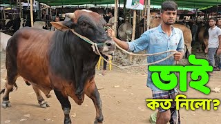 Bhai Koto Nilo Gabtoli Gorur Haat 2024  Part 1  Qurbani Cow Price in Bangladesh  Haat Update [upl. by Ateuqirne360]