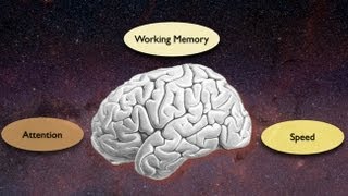 Exploring the Crossroads of Attention and Memory in the Aging Brain Views from the Inside [upl. by Katzir982]