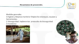 DIVERSIDAD MICROBIANA 1 2 [upl. by Gelman]