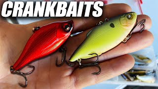 2 Spring Crankbaits the PROS NEVER Talk About [upl. by Romola882]