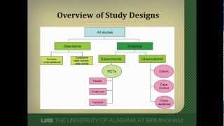 Cohort Studies A Brief Overview [upl. by Rekrap867]