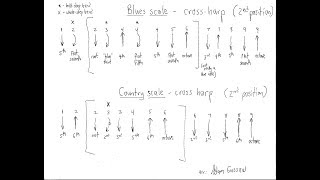 the blues scale for harmonica 2 workshop [upl. by Elocon]