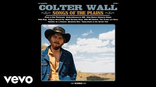 Colter Wall  Wild Dogs Audio [upl. by Kermie]