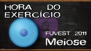 Meiose  FUVEST 2011 [upl. by Brooke]