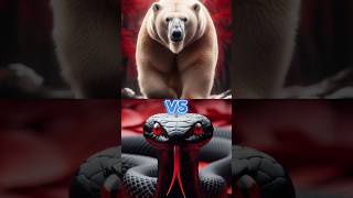 POLAR BEAR VS BLACK SNAKE VS BLACK PITBULLBLACK PANTHER FOX TIGER LIONanimals short trend [upl. by Domineca]