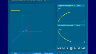 MRI  relaxation precession wwwbigsde [upl. by Milissent]