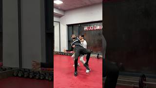 Who is the king boxing muaythai mma kickboxing push30 karate taekwondo wrestling [upl. by Agnimod]