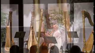 Y Delyn Aur  The Golden Harp Ann Griffiths performed by Elinor Bennett [upl. by Yddur]