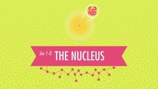 The Nucleus Crash Course Chemistry 1 [upl. by Marasco855]