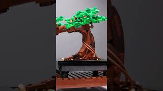 LEGO Icons Botanical Collection Bonsai Baum KURZ REVIEW  Set 10281 [upl. by Ahsena]