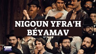 Le Rabbi de Loubavitch  Nigoun Yfrah Béyamav [upl. by Anitsirhc]