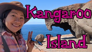 Road Trip from Melbourne to Adelaide EP 10  Kangaroo island [upl. by Renraw444]