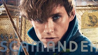 Η ζωή του Newt Scamander 😍 HARRY POTTER THEORY Spellie [upl. by Ilrac]