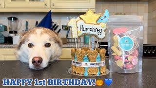 HAPPY 1ST BIRTHDAY HUMPHREY😭🎃💙 [upl. by Ettelra]