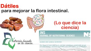 Dátiles para mejorar la flora intestinal  Nutrición basada en la ciencia [upl. by Sucram]