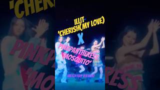 ILLIT아일릿 ‘CherishMy Love’PinkPantheress REMIXILLITCherishXPinkPantheressMosquito MASHUP [upl. by Colner]