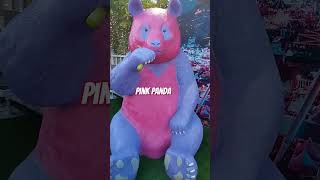 Pink Panda highlights panda pink izahd shortvideo shorts [upl. by Parsaye]