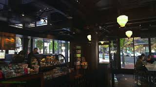 Starbucks Background Noise  ASMR  Cafe  Relaxing  Ambient Sounds [upl. by Nyroc]