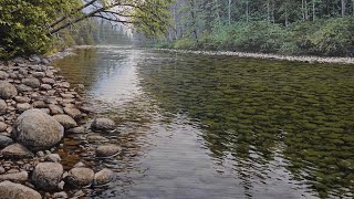 Painting a Realistic River With Acrylic Time Lapse 90 [upl. by Meijer688]