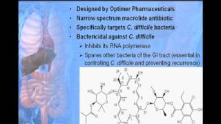 The Treatment Role of Fidaxomycin  Sally Alrabaa MD [upl. by Kokoruda311]