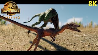 COELOPHYSIS VS COMPSOGNATHUS  Jurassic World Evolution 2 8K [upl. by Hrutkay]