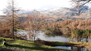 Lake District Walks Tarn Hows [upl. by Lissie684]