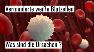 Leukozytopenie  was ist die Ursache verminderter weißer Blutkörperchen [upl. by Neelyam542]