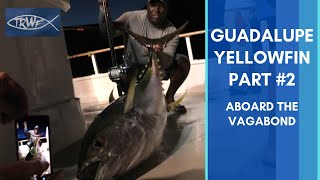 Guadalupe Tuna Part 2Vagabond Sportfishing [upl. by Won]