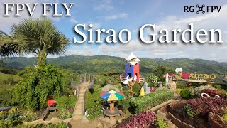 Sirao flower garden Cebu Philippines 🇵🇭 4K FPV Drone fly 2024 [upl. by Aremaj]