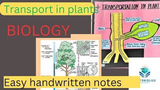 Transport in plants l easy handwritten notes with explanation l biology transportinplants neet [upl. by Arvo]