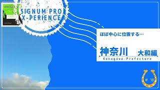 日本縦断お一人様営業マン。ATPランキング９位のマティオ・ベレッティーニ選手も愛用するシグナムプロ。カメレオンカラーの緑色が印象的なエクスペリエンス。 [upl. by Coppock]