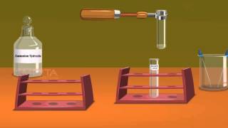 Detection of Elements Lassaigne’s Test  MeitY OLabs [upl. by Babs]