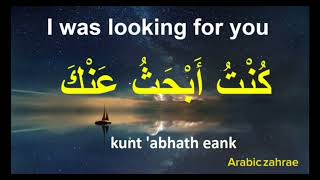 Everyday Arabic Practice  Listen and Speak Arabic Like a Native 5 [upl. by Peer]