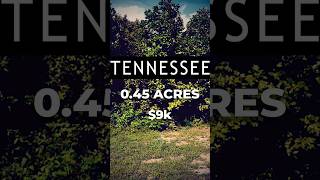 Land for Sale 045 Acres in TN [upl. by Yesdnil]