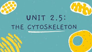 Unit 25 The Cytoskeleton [upl. by Illa]