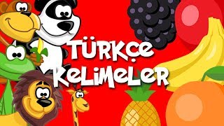 Kids amp Fun Türkçe Kelimeler  Bölüm 1 [upl. by Amadeo244]