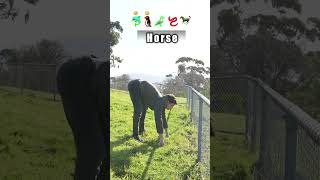 How animals get over a fence 😂 pt2 With emojis [upl. by Aynekat]